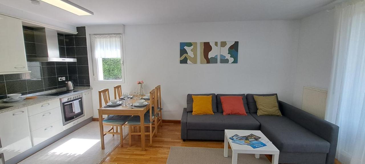 Appartement Lumineux T3 Avec Jardin Privatif A Hendaye - Parking Et Wif Gratuit Екстер'єр фото