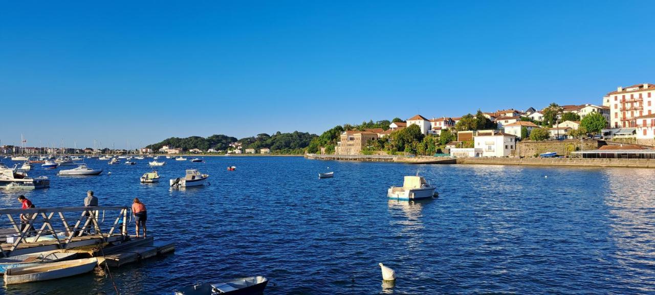 Appartement Lumineux T3 Avec Jardin Privatif A Hendaye - Parking Et Wif Gratuit Екстер'єр фото